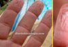 Por que os dedos enrugam na água? Explicação evolutiva e fisiológica