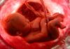 Gravidez: como o bebê respira dentro do útero durante a gestação