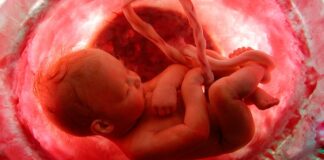 Gravidez: como o bebê respira dentro do útero durante a gestação