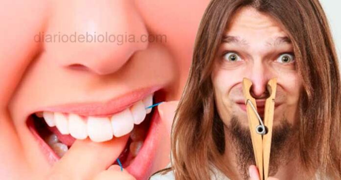 Fio dental fica com mal cheiro quando passa entre os dentes, o que pode ser?