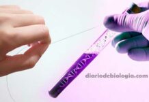 Teste de paternidade: É possível fazer exame de DNA no fio de cabelo?