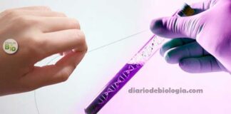 Teste de paternidade: É possível fazer exame de DNA no fio de cabelo?