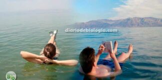 Mar Morto: Como é possível as pessoas flutuarem na água