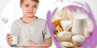 Sintomas de intolerância a lactose: 5 sinais básicos que indicam a doença