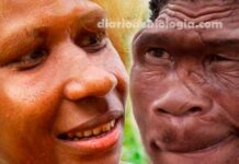 Evolução humana: como era "a cara" dos nossos ancestrais?