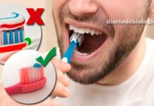 Como escovar os dentes? Veja 10 erros que todos cometem