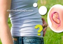 Tudo sobre gravidez psicológica: sintomas, causas e tratamento