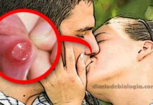 casal se beijando beijo na boca