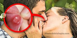casal se beijando beijo na boca