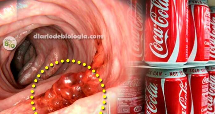 Coca-cola do Brasil tem maior taxa de substância cancerígena do mundo
