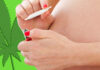 Maconha e gravidez: Grávida pode fumar maconha?