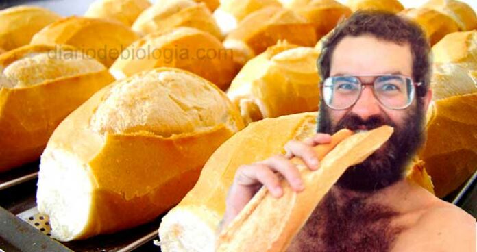 Pão francês: estudos revelam que ele é o culpado da obesidade, diabetes e depressão