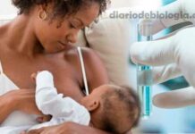 Leite materno: cientistas descobrem novos antibióticos no leite materno