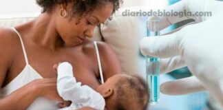 Leite materno: cientistas descobrem novos antibióticos no leite materno