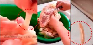 Mentira: vídeo de mulher encontrando vermes no frango é fake