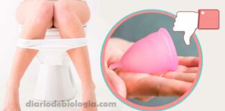 Coletor menstrual: veja as desvantagens em usar o copo menstrual