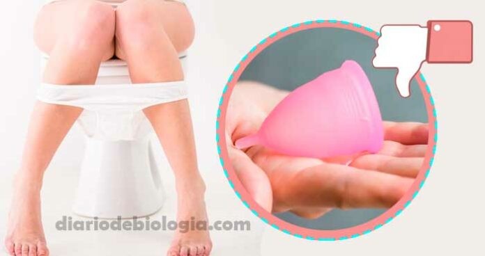 Coletor menstrual: veja as desvantagens em usar o copo menstrual