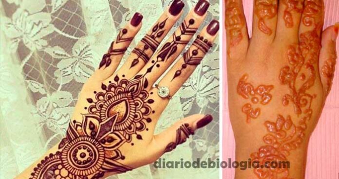 Tatuagem de Henna pode deixar cicatrizes irreversíveis