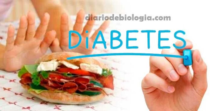 Dieta sem glúten pode causar diabetes mellitus