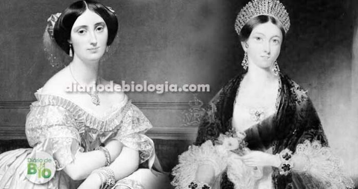 No século 19 o sonho de beleza das mulheres era se parecerem com um tuberculoso
