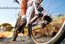 Dificuldade de ereção: Andar de bicicleta causa esperma fraco e problemas de ereção