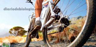 Dificuldade de ereção: Andar de bicicleta causa esperma fraco e problemas de ereção