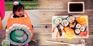 Peixe cru, molho shoyu, yakissoba: criança pode comer comida japonesa?