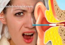 Cotonetes podem perfurar o tímpano e deslocar os ossos do ouvido