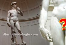 Por que as estátuas gregas têm genitais pequenos