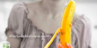 Comer banana a noite faz mal? Nutricionista explica se isso é verdade