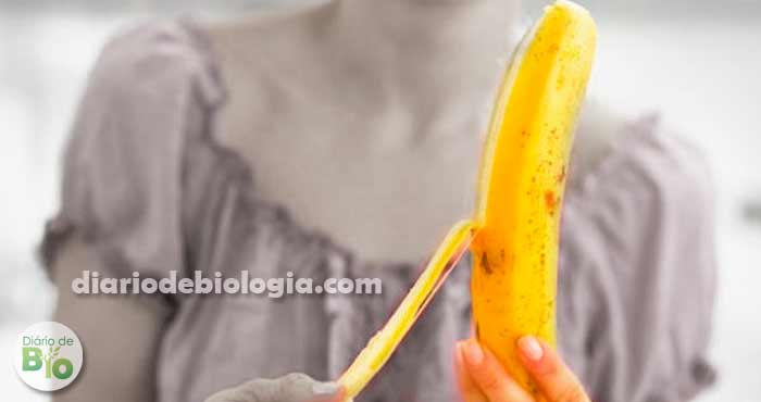 Comer banana a noite faz mal? Descubra de uma vez por todas se isso é mesmo  verdade - Diário de Biologia