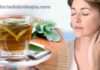 Chá para menopausa: médico ensina chá natural que alivia os sintomas