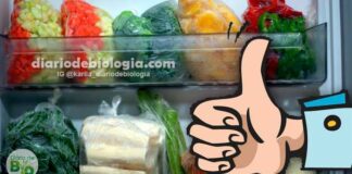 Como congelar legumes e verduras para não perder os nutrientes, a cor e o sabor