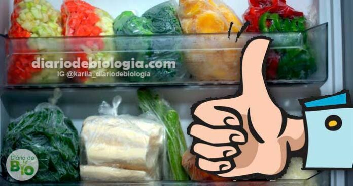 Como congelar legumes e verduras para não perder os nutrientes, a cor e o sabor