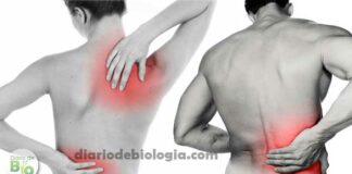 Dor nas costas: 5 causas, baseadas em estudos, que não são doenças