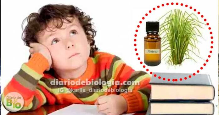 Esse óleo essencial pode melhorar os sintomas de TDAH (déficit de atenção) em crianças e jovens, dizem estudos