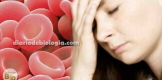 Sintomas da anemia: Veja sintomas para 3 tipos de anemia