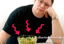 Dieta para emagrecer: nutricionistas mostram erros comuns que atrapalham o emagrecimento