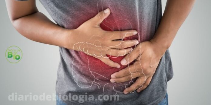 A barriga inchada é um sintoma bastante comum para algumas doenças