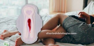 Sexo e menstruação: Fazer sexo com mulher menstruada faz mal