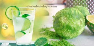 Água com limão em jejum para emagrecer: como preparar? Nutricionista ensina