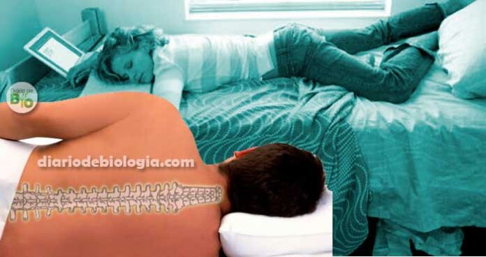 Dor na coluna: ortopedistas ensinam melhor posição para dormir