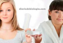 Menarca: Como saber se a primeira menstruação está próxima