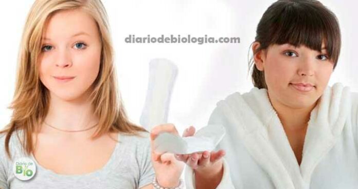 Menarca: Como saber se a primeira menstruação está próxima