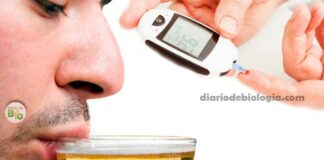 Cerveja e Diabetes: Quem tem Diabetes pode tomar cerveja?