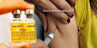 Como saber se já tomei vacina contra febre amarela?