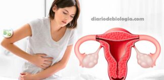 Cólica fora do período menstrual: É normal? O que pode ser?