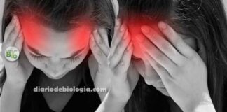 Tipos de dor de cabeça: veja locais e causas da dor de cabeça