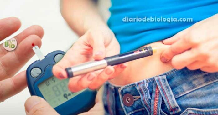 Diabetes tipo 1 e 2: Entenda as diferenças. Qual a mais perigosa?