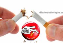 Como parar de fumar: melhor guia para largar o cigarro definitivamente